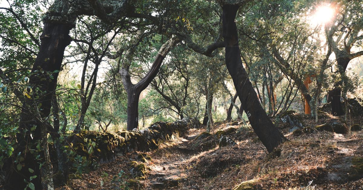 Immersi nella natura